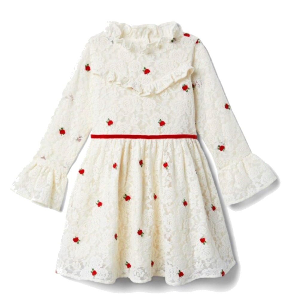 Janie and Jack Embroidered Lace Dress